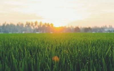 Hvad er VSME-standarden?